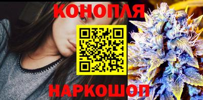 крисы Ставрополь