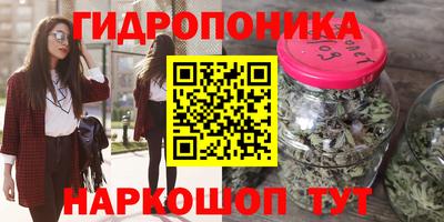 крисы Ставрополь