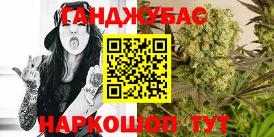 крисы Ставрополь