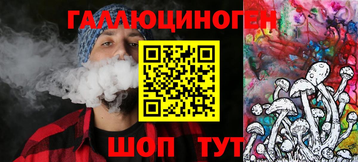 Галлюциногенные грибы Psilocybine cubensis Новодвинск
